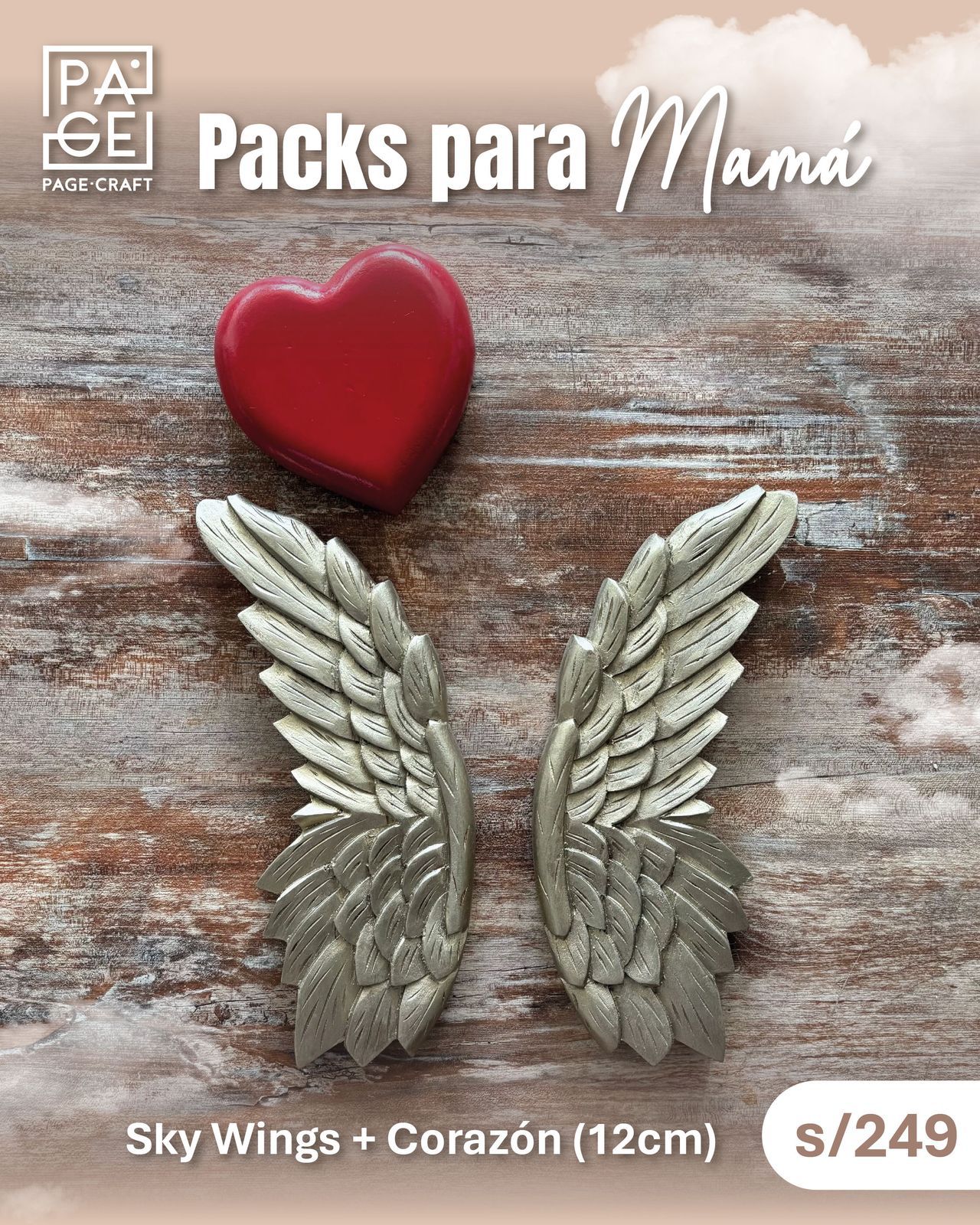 Pack Sky wings