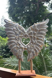 Spirit Wings